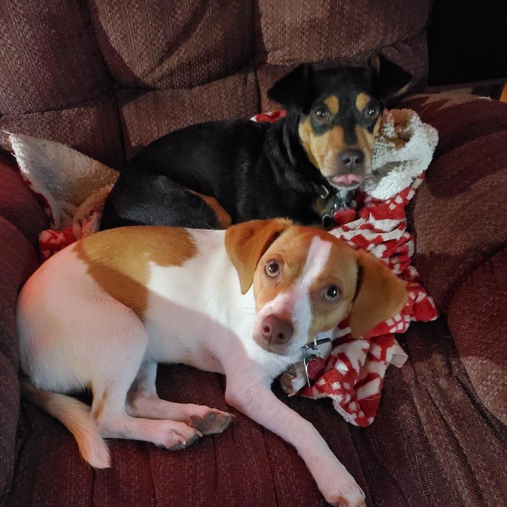 Meet your Posher, Christina